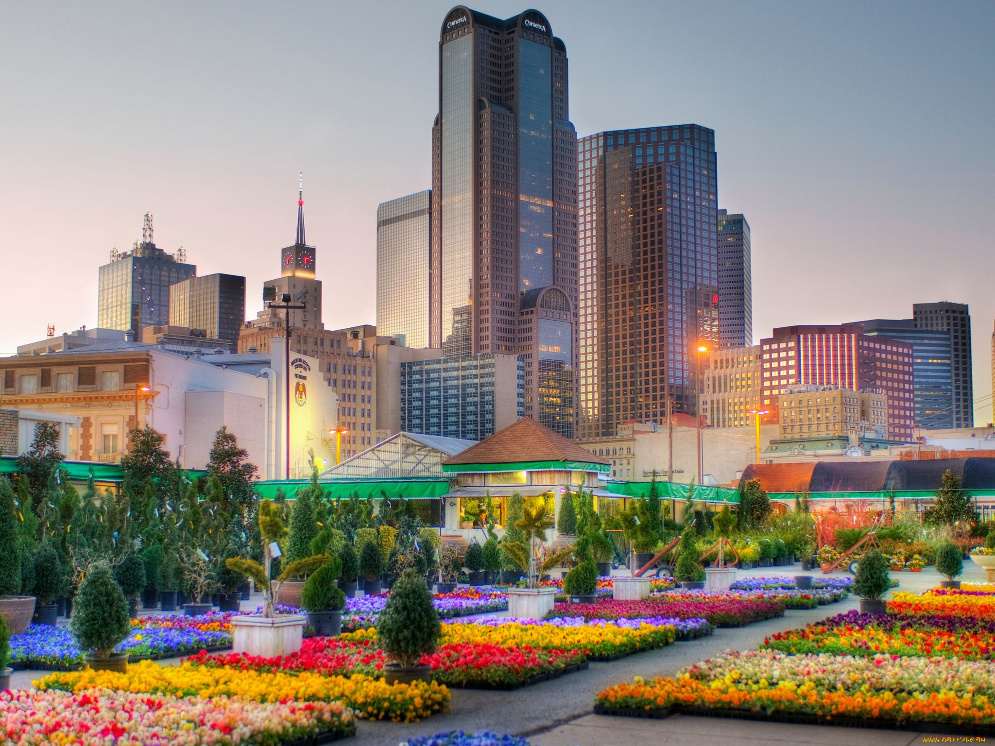 dallas, , , , 